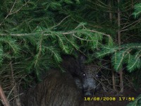 /album/fotoarchiv/img-0110-jpg/